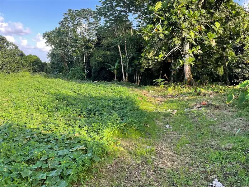 Terrain, 1 898 m²