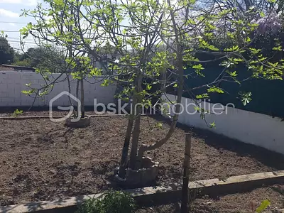 Terrain, 230 m²
