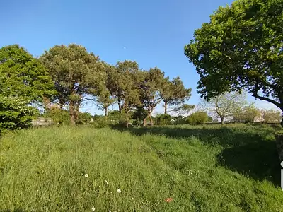 Terrain, 915 m²