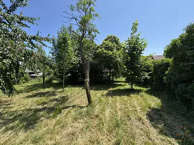 Maison, 300 m²