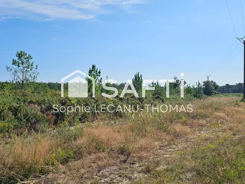 Terrain, 117 075 m²