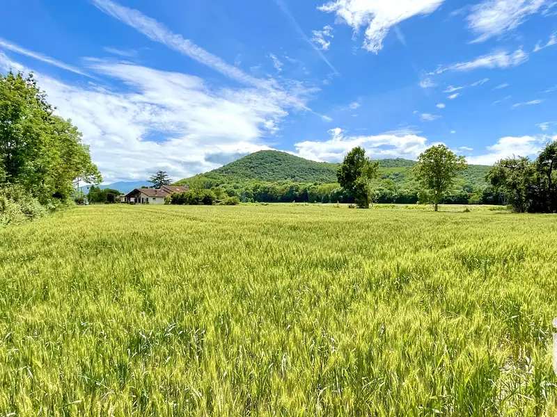 Terrain, 4 300 m²