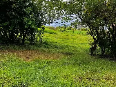Terrain, 921 m²