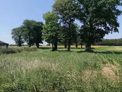 Terrain, 2 000 m²
