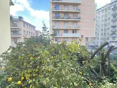 Appartement, 20,29 m²