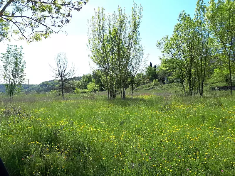 Terrain, 1 300 m²