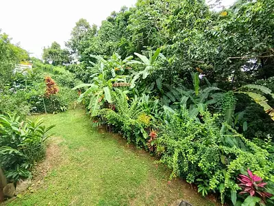 Maison, 161 m²