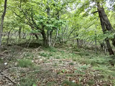 Terrain, 76 539 m²