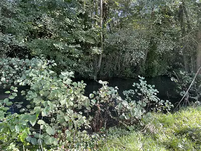 Terrain, 544 m²
