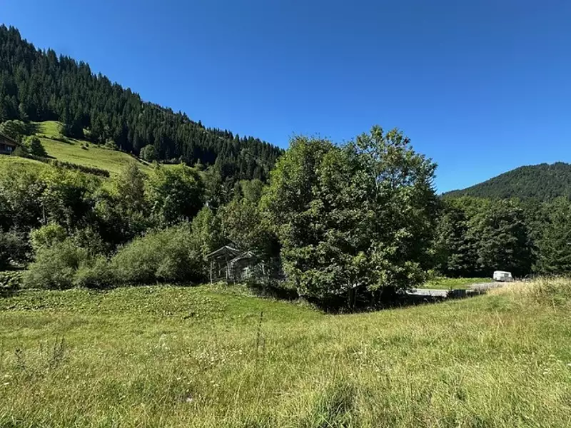 Terrain, 770 m²