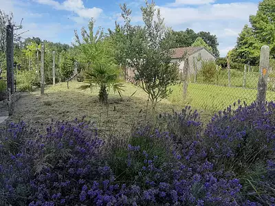 Maison, 74 m²