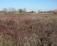 Terrain, 800 m²