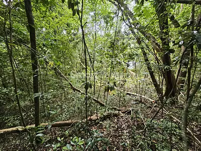 Terrain, 3 578 m²