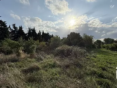 Terrain, 3 699 m²
