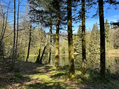 Terrain, 17 892 m²