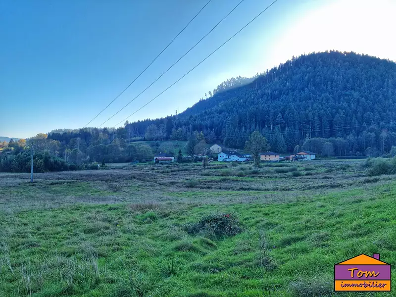 Terrain, 3 603 m²
