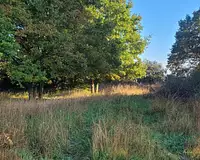 Terrain à bâtir, 300 m²