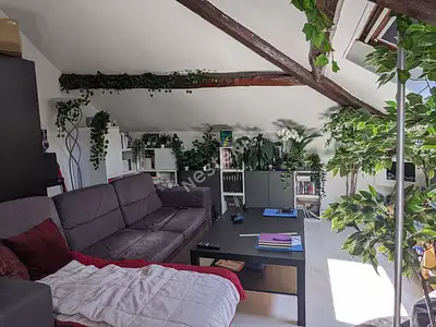 Appartement, 48,5 m²