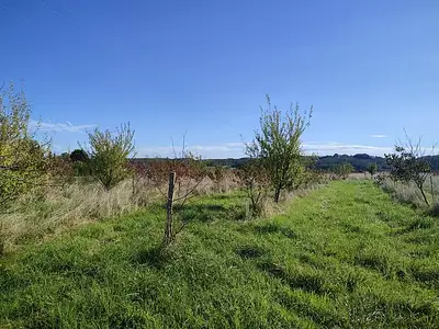 Terrain, 22 314 m²