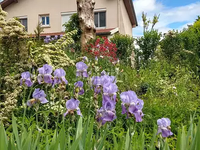 Maison, 87 m²