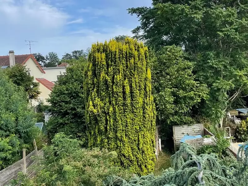 Maison, 210 m²