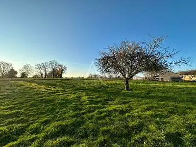 Terrain, 1 250 m²