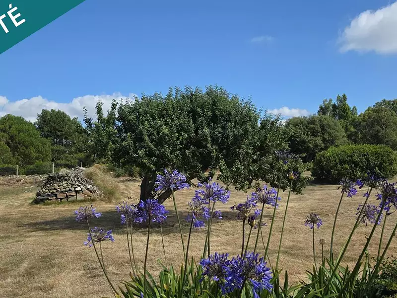 Terrain, 2 180 m²