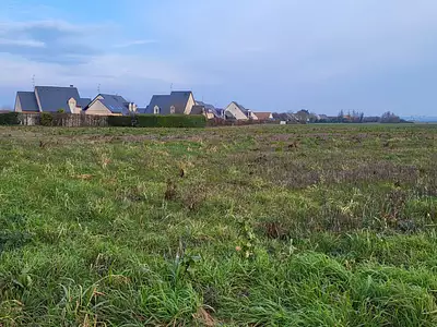 Terrain, 271 m²