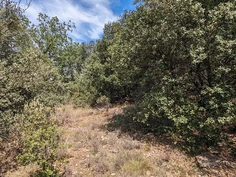 Terrain, 70 072 m²