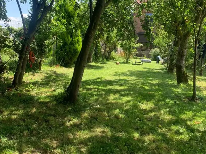 Maison, 245 m²