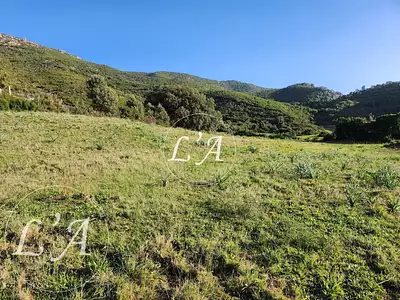 Terrain, 1 500 m²