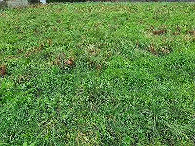 Terrain, 932 m²