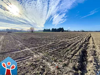 Terrain, 1 765 m²