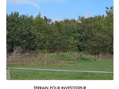 Terrain, 500 m²