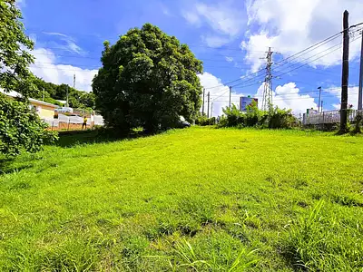 Terrain