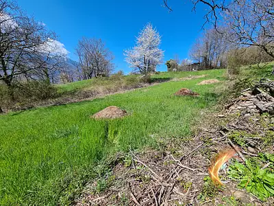 Terrain, 502 m²