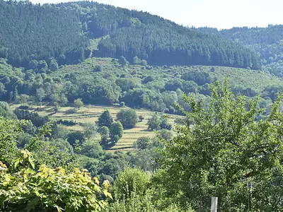Maison, 80 m²