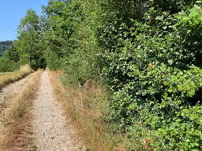 Terrain, 6 602 m²