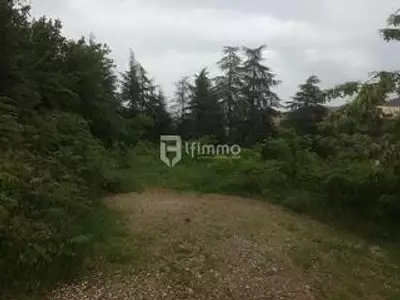 Terrain, 10 247 m²