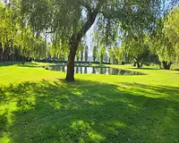 Terrain, 7 450 m²
