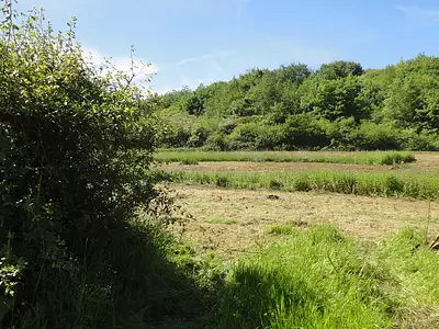 Terrain, 871 m²