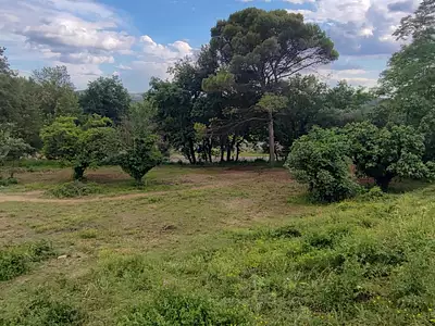 Terrain, 1 516 m²
