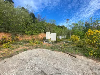 Terrain