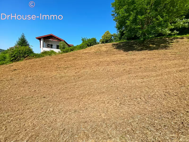 Terrain, 1 237 m²