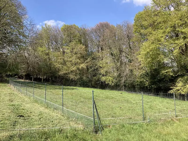 Terrain, 7 400 m²