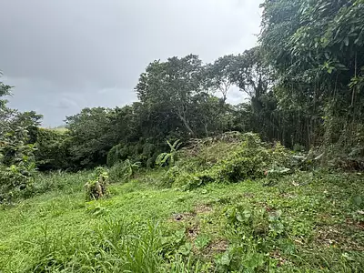 Terrain, 1 300 m²