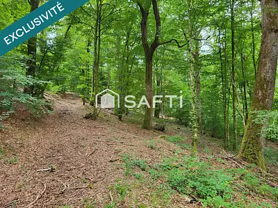 Terrain, 10 559 m²