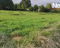 Terrain, 1 466 m²