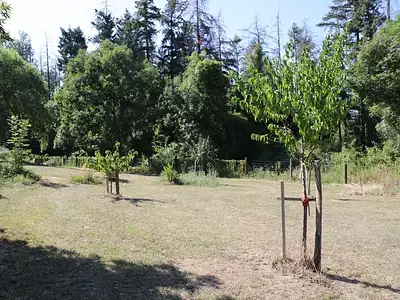Maison, 240 m²