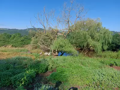 Divers, 530 m²